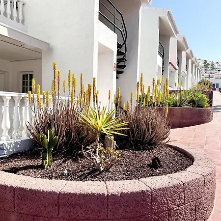 Pedro&miguel Apartment, Canarias, Apartamento Costa Adeje (Tenerife)